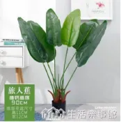 大型北歐旅人蕉仿真綠植天堂鳥盆栽龜背竹客廳ins風植物桌面盆景 NMS 【林之舍】