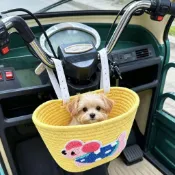 動車寵物籃 寵物筐 車筐 收納筐 寵物車載棉繩掛籃 電動車三輪車前置編織收納筐