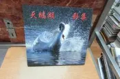 【嫺月】M403   天鵝湖影集       郭謙義攝編       民國89