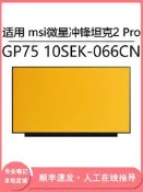 【可開發票】現貨適用msi微星沖鋒坦克2 Pro GP75 10SEK-066CN 17.3寸（LCD）屏幕更換【满额免