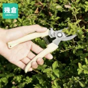園藝剪刀 剪刀 高枝剪 樹枝剪 修枝剪 花枝剪刀 粗枝剪刀 剪定鋏 花剪 檳榔剪刀 花藝果樹剪 花枝剪刀 園藝剪刀 幾倉