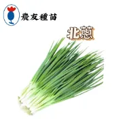 北蔥 北蔥種子 【農友種苗】北蔥種子 蔬菜原包裝種子 約200粒/包 新鮮種子