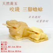 【御古齋】精選天然 黃玉 咬錢 三腳蟾蜍 強力吸金 日日進財 吐寶發財 財源廣進 風水開運擺件 兩種尺寸 0609