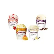 【Haagen-Dazs 哈根達斯】人氣品脫4入組 (搶先買$175/杯) 熱賣口味 夏日果戀 中秋 禮物