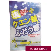 日本 大丸本舖 葡萄糖 沖繩鹽+檸檬酸 2g×20粒入 日本代購