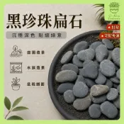 【欣榮園藝490全省免運】黑珍珠扁石 霧面黑膽石 特黑扁石 黑膽石 鋪面石 鵝卵石 園藝 陽台 庭院舖石 水族