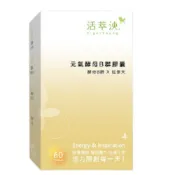 元氣酵母B群膠囊 1入組  60粒/盒(酵母B群 天然B群 紅景天萃取 鋅  鐵 γ-穀維素)