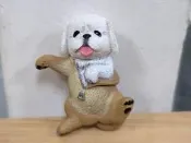 A-4 櫃 現狀品 ： 頭套狗 扭蛋 動物檔案系列 人氣裝扮篇P2 STAND STONES　天富
