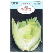 (店+)【天橙種子】包心芥菜種子 長年菜 刈菜 Mustard 結球類種子 天星牌 穗耕種苗 彩色原包裝