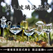 聚寶盆萬貨行 【店家補貼】透明玻璃懶人澆花養花滲水滴灌家用綠植盆栽自動澆花器園藝工具