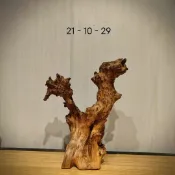 協貿國際日用品生活9館 花梨木天然原木根雕茶臺樹根茶幾功夫茶海實木樹頭陽臺家用泡茶桌