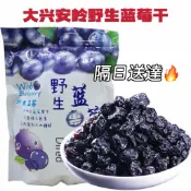 台灣現貨🔥野生藍莓乾 250g小藍莓 果乾 藍莓乾 大興安嶺野生藍莓乾 無糖果乾 藍莓 0添加 無色素 水果乾 休閑零食