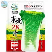 【原廠包裝】東北28斤大白菜種子（Northeast 28 Pound Cabbage）3克 包心結球白菜 耐寒高產量大