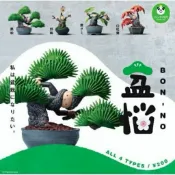 🌸 夢的日 🌸 熊貓之穴 盆惱 盆栽人 P1黑松 野梅 山紅葉 寒茱萸 植物人 全4款 轉蛋 扭蛋 植物 盆栽公仔