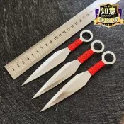 【可開統編】飛鏢戶外飛鏢唐門飛針飛刀小李飛刀忍者飛鏢手裡劍訓練練習飛薇妍