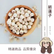 紡蓮子600g 批發【附發票｜日生元】 蓮子 通心蓮子 四神 甜品 湘蓮子 蓮子湯 口感鬆軟 蓮子飯