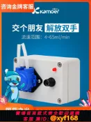 雲源優品 {可打統編 最低價}卡默爾蠕動泵實驗室動物計量泵小型泵頭水泵微量恒流泵微型抽水泵