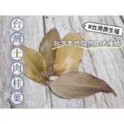 『穀粉茶包小棧』《嚴選 台灣原生種 土肉桂葉》100%純天然無其他添加物! (自家果園無毒無農藥種植) 香葉 非 月桂葉