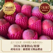 【免運】2026屏東枋山愛文芒果禮盒(5斤/10斤) 產地直送外銷日本頂級 高甜度嚴選 枋寮水果伴手禮 產季限量下單區