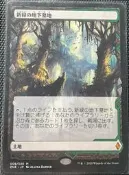 萬智牌 MTG 新綠陵墓 黑綠找 日文 ZNE 贊迪卡再起寶藏 topper。主頁萬智牌滿200價格不滿意歡迎議價。