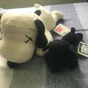 Kaws x peanuts 史努比 黑色 白色 宜蘭縣