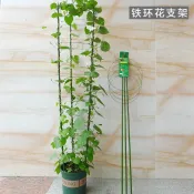 協貿國際日用品生活6館 盆栽固定鐵環花支架鐵線蓮爬藤架月季花撐包塑園藝花盆支架
