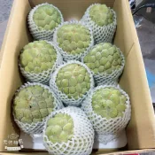 重點❗️免運❗️❗️免運❗️漂亮大目釋迦 10斤裝 ！免運！