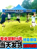 悠樂館 【保固一年】戶外遮雨棚廣告帳篷折疊印字伸縮大傘四腳遮陽棚雨篷車棚四角擺攤