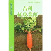 (店+)【天橙種子】吉利紅皮菜頭種子 蘿蔔 2公克(約100粒)  9~12月播種 根莖類種子 興農種苗 彩色原包裝