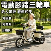 【🔥免駕照🔥】電動三輪車 老人代步車 電動腳踏車 電動自行車 老年腳踏車 老人助力代步車 載人載貨輕便電動車 保固一年