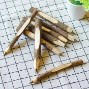 中性筆 廣告筆 仿真樹枝筆 小草樹木造型筆 手工原木筆 原子筆 客製化禮品專家3493