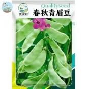 【原廠包裝】寬莢眉豆 青眉豆種子（Green Eyebrow Beans）青仁黑豆  發豆芽/煮湯  家庭自種 陽台盆栽