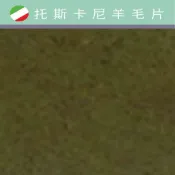 幅新手織 托斯卡尼-羊毛片DP609長春藤｜約A4尺寸｜DIY手作/羊毛氈材料/文創
