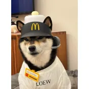48H【台灣有貨🏆新竹出貨】新款麥當勞套餐 2024開心兒童樂園套餐 過傢傢 玩具餐盤 收銀機帽子麥剋風 禮物 全球購