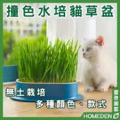 (店+)撞色水培貓草盆 送貓草 貓草Diy 育苗盤 水培貓草盒 無土貓草盒 種貓草盆 小麥【HOMEDEN霍登園藝】