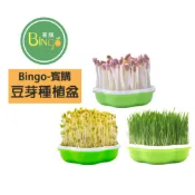 賓購 現貨 4合1豆芽種植盆 育苗盆 育苗箱 育苗器 園藝室內種植 栽培盒 栽培盤 綠豆芽 苜蓿芽 快速生長 自種沙拉菜
