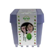 (店+)【iPlant】積木盆栽-貓薄荷(內含種子培養土肥料花盆)