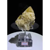 教堂氐黃骨幹，，，，