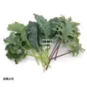 【268菜園】Baby Leaf嫩葉生菜種子-綜合羽衣甘藍｜早採嫩葉・多品種