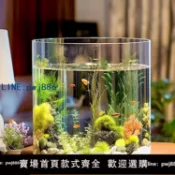 聚寶盆萬貨行 【店家補貼】一體成型玻璃無縫魚缸加厚玻璃魚缸水族箱小型圓形圓柱形創意金魚