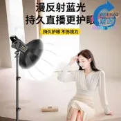 【限價補主柔美顏服圓綠幕設