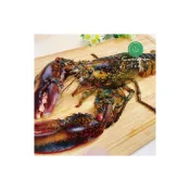 (店+)【Camaron 卡馬龍】頂級生凍加拿大波士頓龍蝦2入組(400-450公克/隻)
