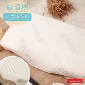 MAP系列 涼感感溫記憶枕(顆粒按摩型)1入 彈力支撐 高密度 防蹣抗菌 記憶枕頭 護頸 枕芯