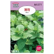 (店+)【天橙種子】薄荷種子 胡椒薄荷  香草種子 天星牌 穗耕種苗 彩色原包裝