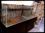 蛋叔叔-3尺 超白缸 套組 含木架 魚缸 開放缸 木架 櫃子 套缸 木心板 白橡 胡桃 鐵刀 時尚 半水景 高透 高亮