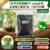 【太平洋芽菜種子】150g正宗台灣青仁黑豆/包🌱約2700顆👑高發芽率專業芽菜級✨水耕土耕梅森罐皆適用💯無藥劑✅非基改