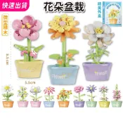 微型積木永生花｜花朵盆栽系列 多款任選 波斯菊 木槿 薔薇 曇花 雛菊 生日禮物交換禮物1504