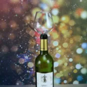 全球選品1館 生活百貨 歐美狂飲杯創意紅葡萄酒杯高硼矽玻璃帶橡膠塞杯頭