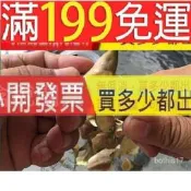 剝菱角神器生菱角剝殼器熟菱角撥殼器菱角剝殼夾子剝菱角皮的工具 當天可以出貨！
