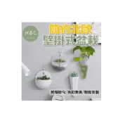 (店+)壁掛花盆 迷你花盆 免釘無痕 插花瓶 懸掛花盆 掛壁盆栽 收納盒 多肉植物花盆 簡約北歐 廁所壁掛
